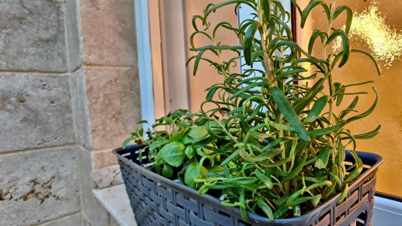 Primrose Boutique Apartment Ashdod Exterior photo